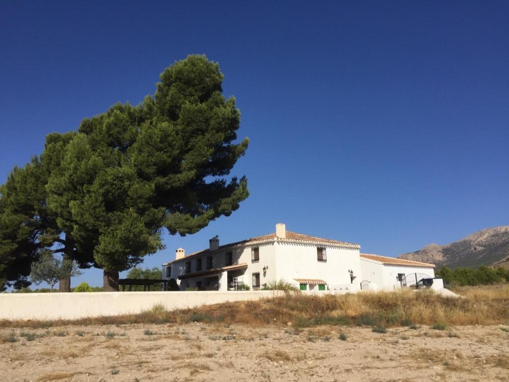 B&B Cortijo El Ciruelo Chirivel Eksteriør billede