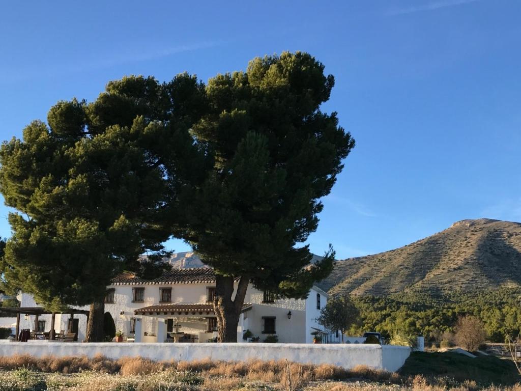 B&B Cortijo El Ciruelo Chirivel Eksteriør billede